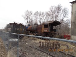 DSCN1318