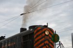 DSC_0113.JPG