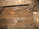 IMG_1188.JPG