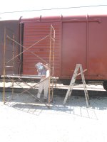 IMG 1294