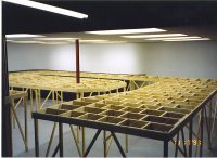 CBN-1
