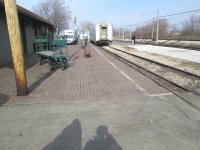 IMG 0232
