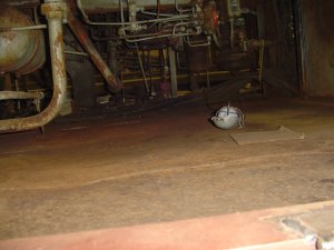 View under the cab where work continues on rotted out electrical trough