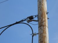 Lightning arrestor protecting Pit Lead feeder.