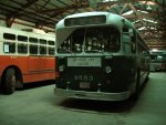 Chicago 9553 sits in the trolley bus barn