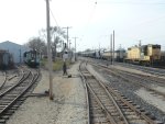 P1000856.JPG
