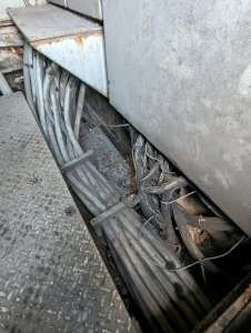 PXL 20220818 205241618